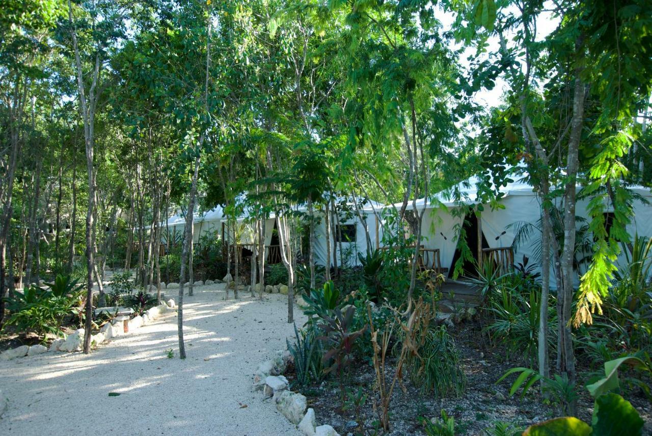 普拉亚卡门Huaya Camp公寓 外观 照片