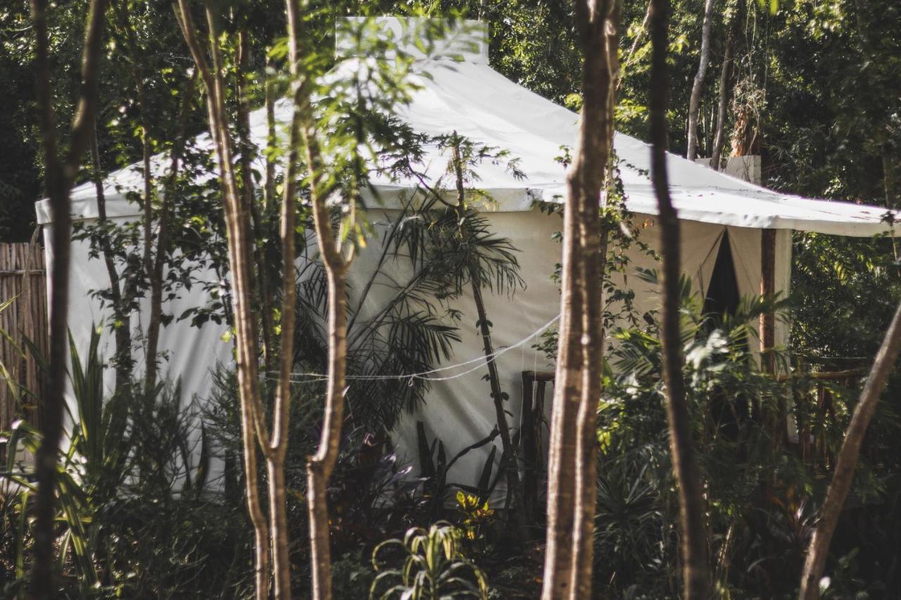 普拉亚卡门Huaya Camp公寓 外观 照片